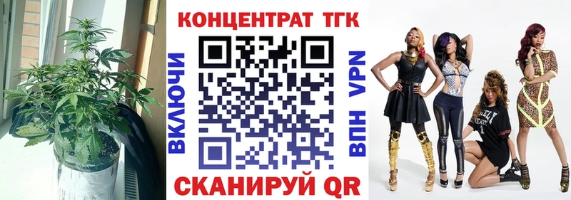 MEGA tor Макарьев Дистиллят ТГК гашишное масло
