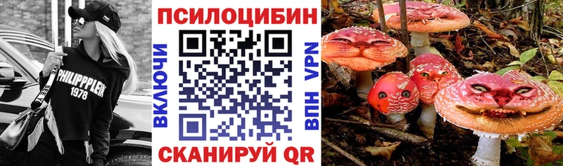 Псилоцибиновые грибы MAGIC MUSHROOMS  купить   МЕГА зеркало  Макарьев 